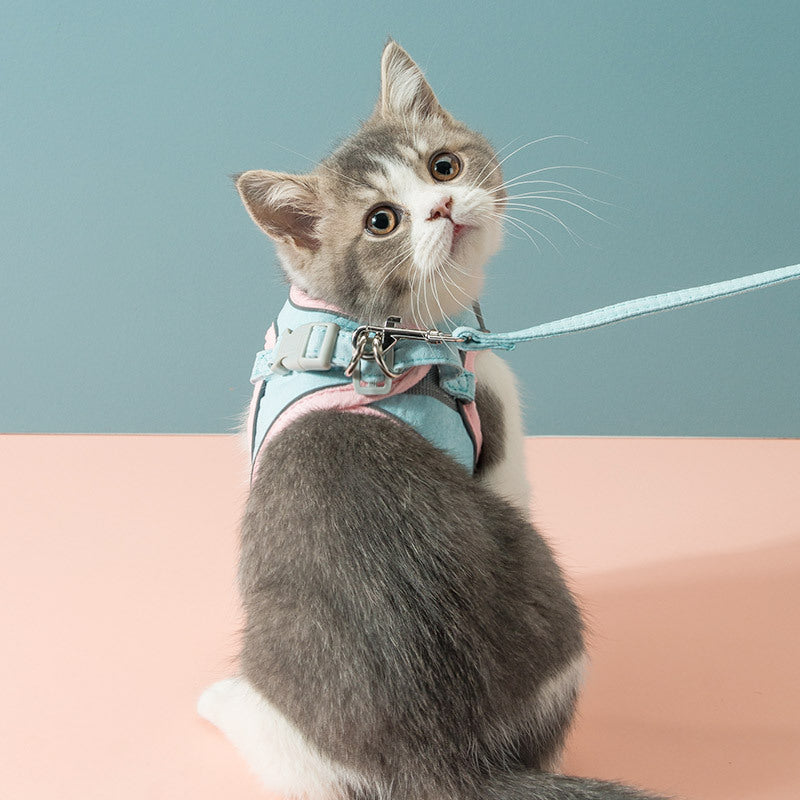 Pet Collars, Harnesses & Accessories