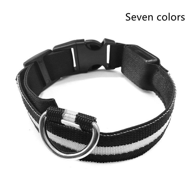 Luminous Pet Collar: Glow-in-the-Dark Dog & Cat Leash