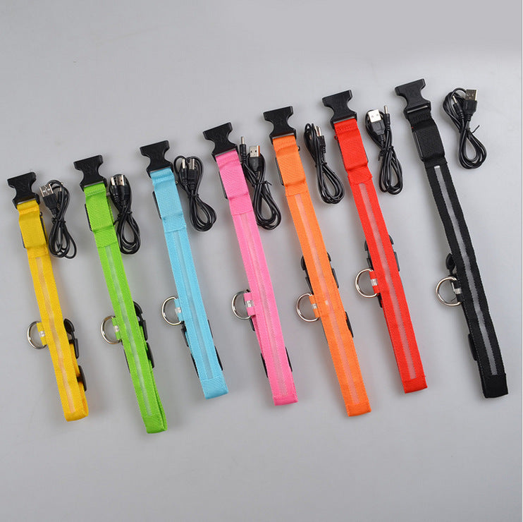 Luminous Pet Collar: Glow-in-the-Dark Dog & Cat Leash