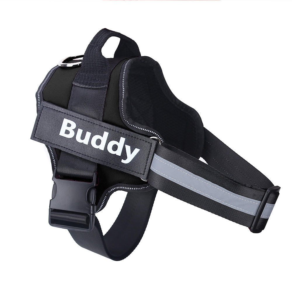 Personalized, Heavy-Duty, Adjustable Pet Harness