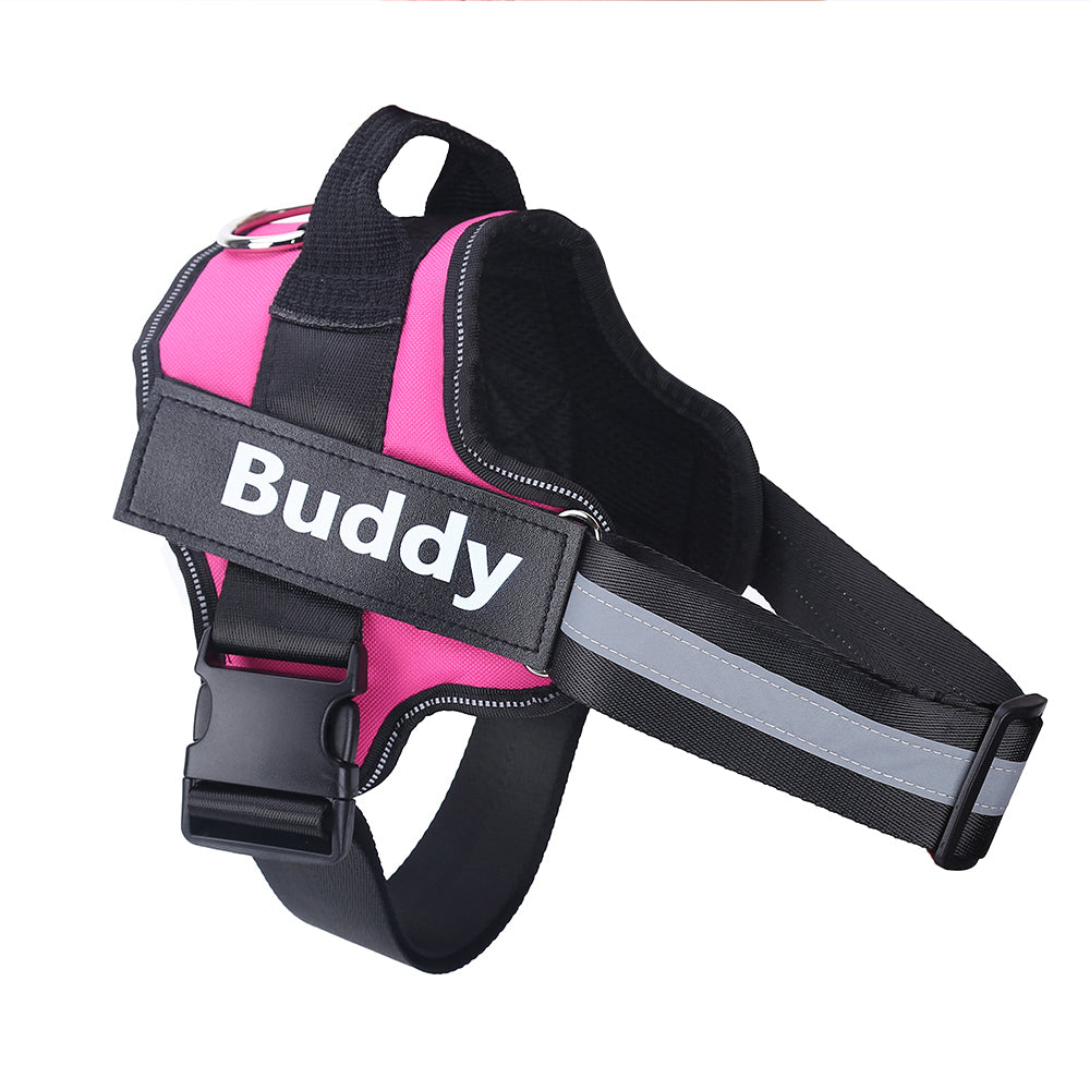 Personalized, Heavy-Duty, Adjustable Pet Harness