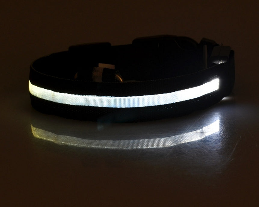 Luminous Pet Collar: Glow-in-the-Dark Dog & Cat Leash