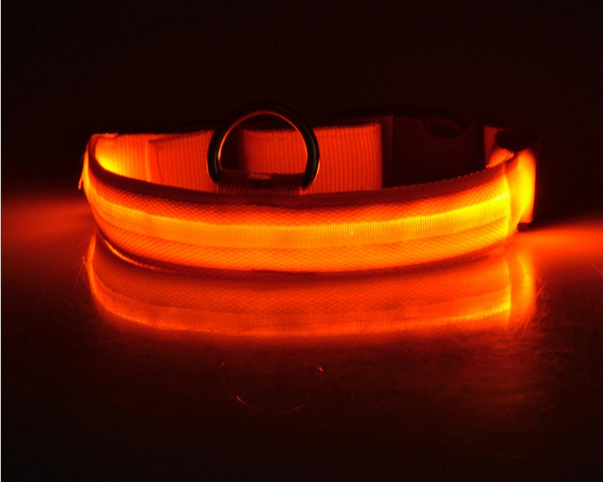 Luminous Pet Collar: Glow-in-the-Dark Dog & Cat Leash