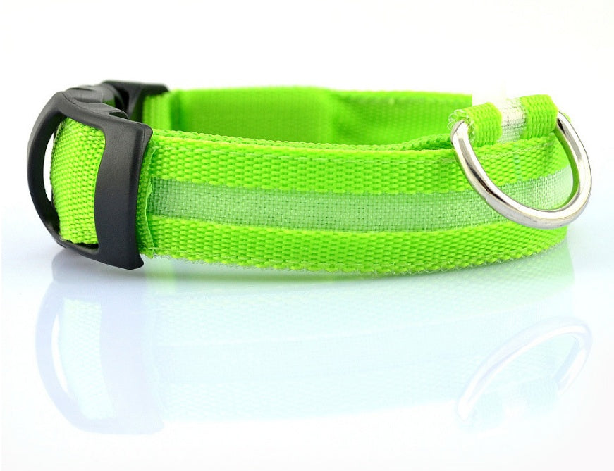 Luminous Pet Collar: Glow-in-the-Dark Dog & Cat Leash