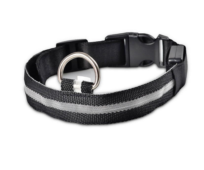 Luminous Pet Collar: Glow-in-the-Dark Dog & Cat Leash