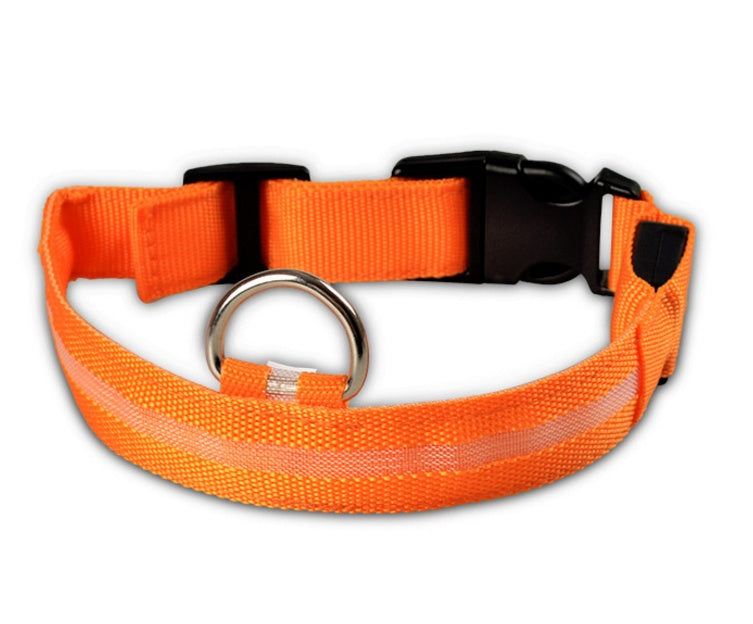 Luminous Pet Collar: Glow-in-the-Dark Dog & Cat Leash