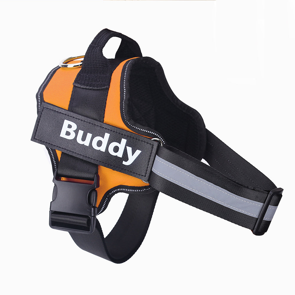 Personalized, Heavy-Duty, Adjustable Pet Harness