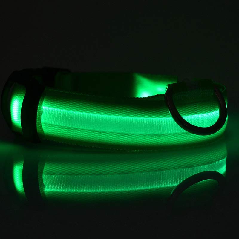 Luminous Pet Collar: Glow-in-the-Dark Dog & Cat Leash