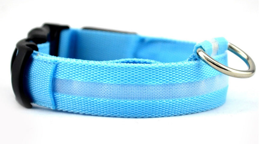 Luminous Pet Collar: Glow-in-the-Dark Dog & Cat Leash