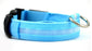 Nylon LED Pet Dog Luminous Collar Night Safety Flashing Glow in Dark Dog Cat Leash Adjustable Pet Supplies