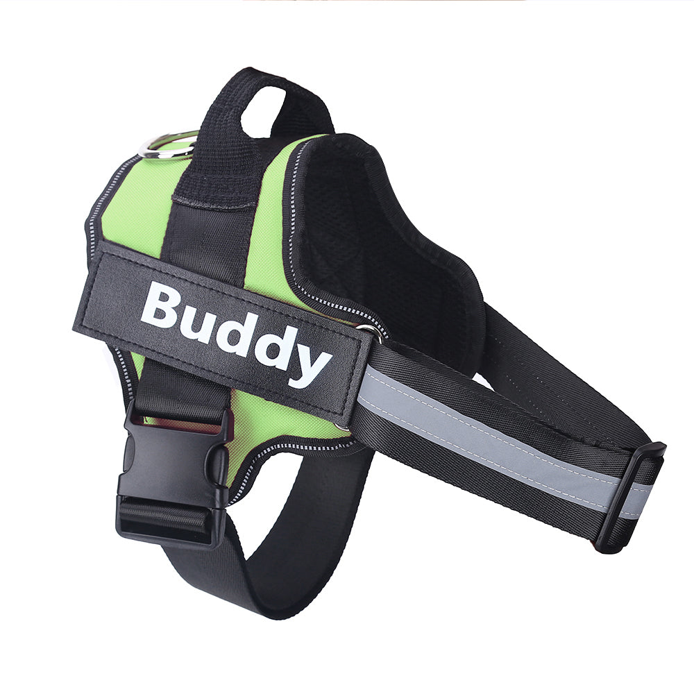 Personalized, Heavy-Duty, Adjustable Pet Harness