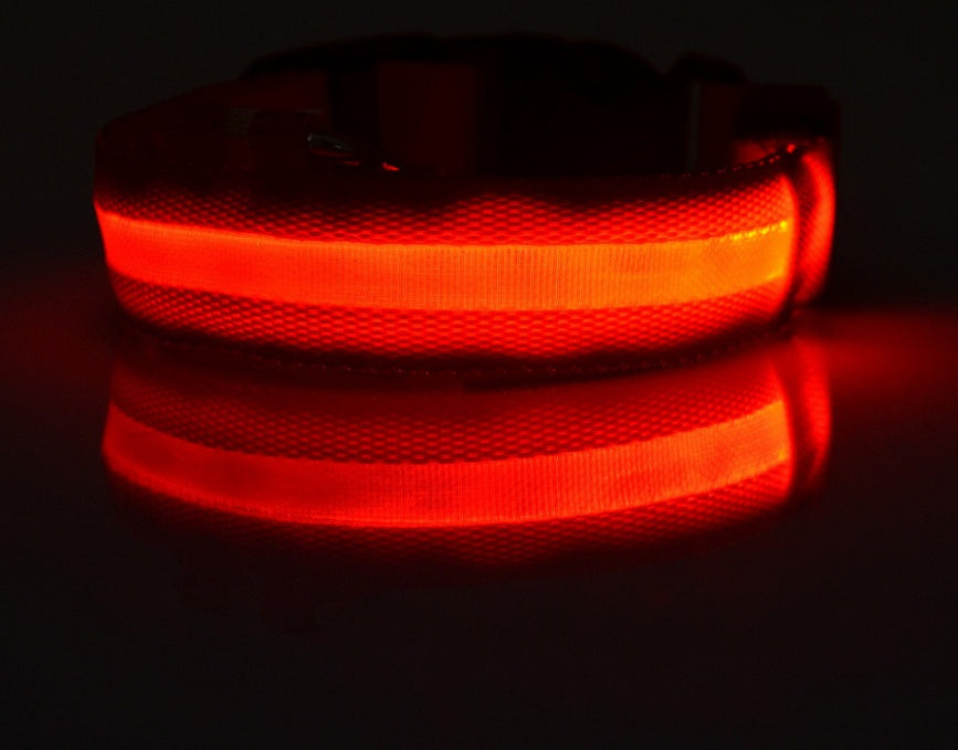 Luminous Pet Collar: Glow-in-the-Dark Dog & Cat Leash