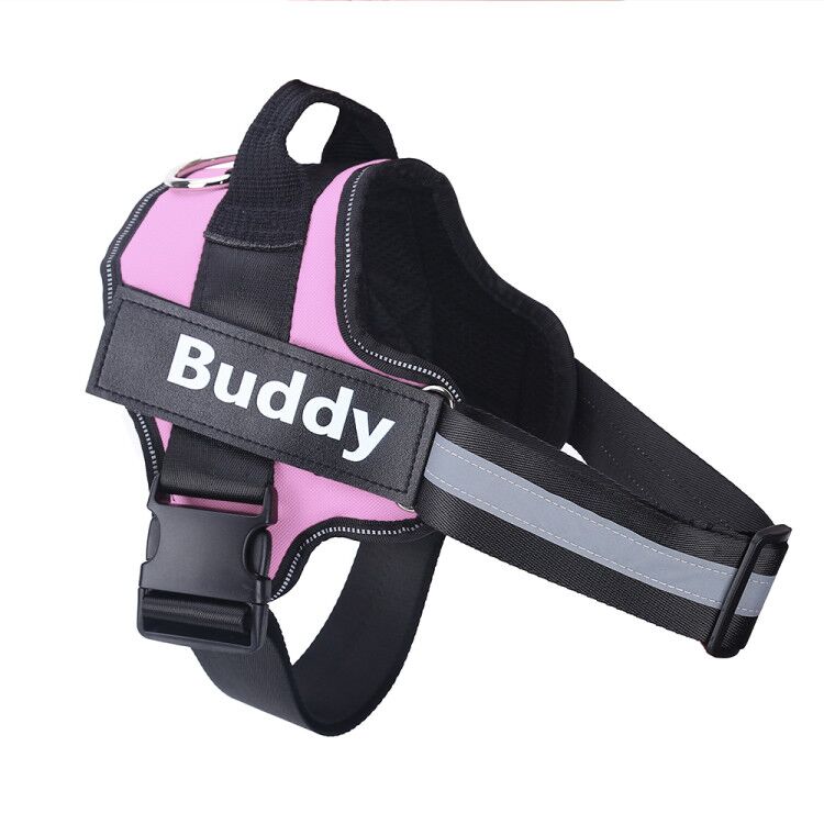 Personalized, Heavy-Duty, Adjustable Pet Harness