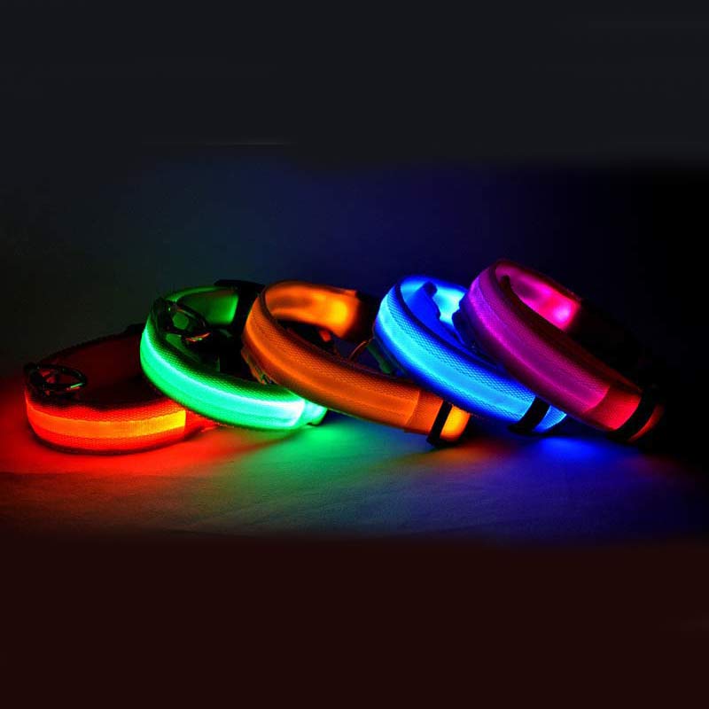 Luminous Pet Collar: Glow-in-the-Dark Dog & Cat Leash