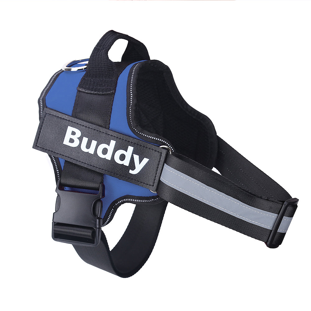 Personalized, Heavy-Duty, Adjustable Pet Harness