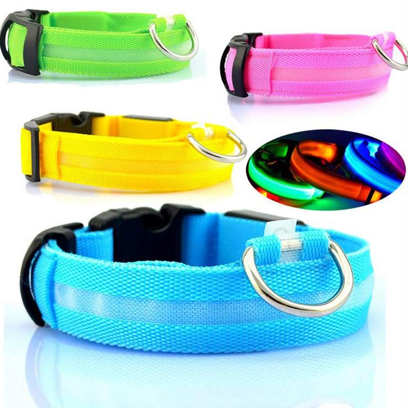 Luminous Pet Collar: Glow-in-the-Dark Dog & Cat Leash