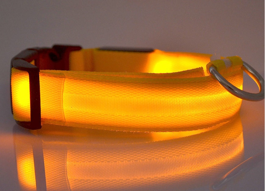 Luminous Pet Collar: Glow-in-the-Dark Dog & Cat Leash