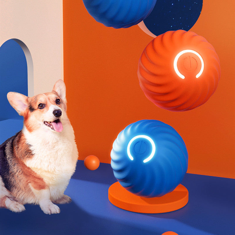 Rubber Dog Ball Toy: Bite-Resistant & Durable — Dog Training Supplies
