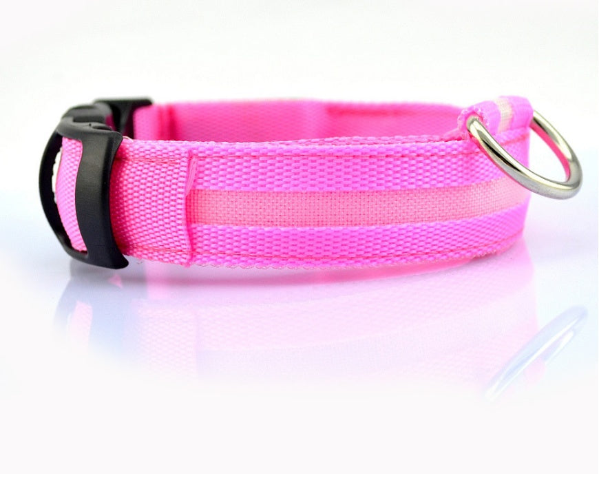 Luminous Pet Collar: Glow-in-the-Dark Dog & Cat Leash
