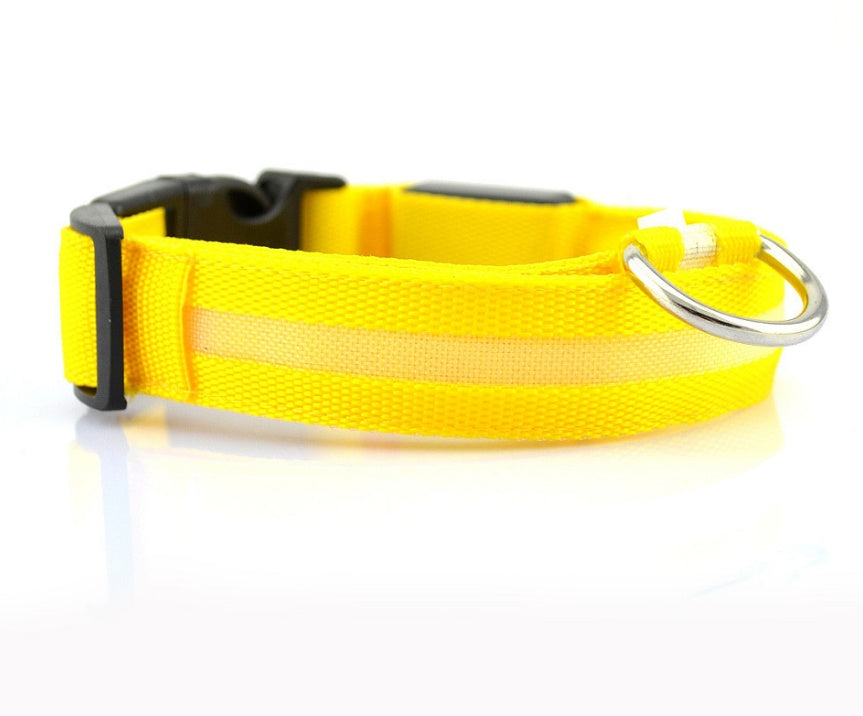 Luminous Pet Collar: Glow-in-the-Dark Dog & Cat Leash
