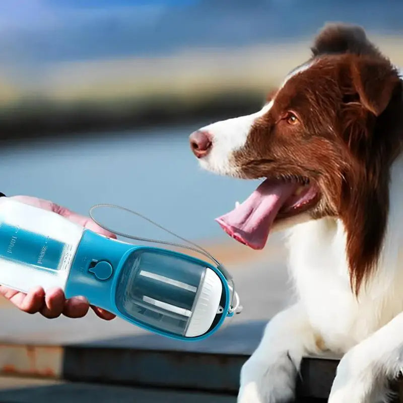 Portable 3-in-1 Pet Outdoor Travel Dog Water Bottle