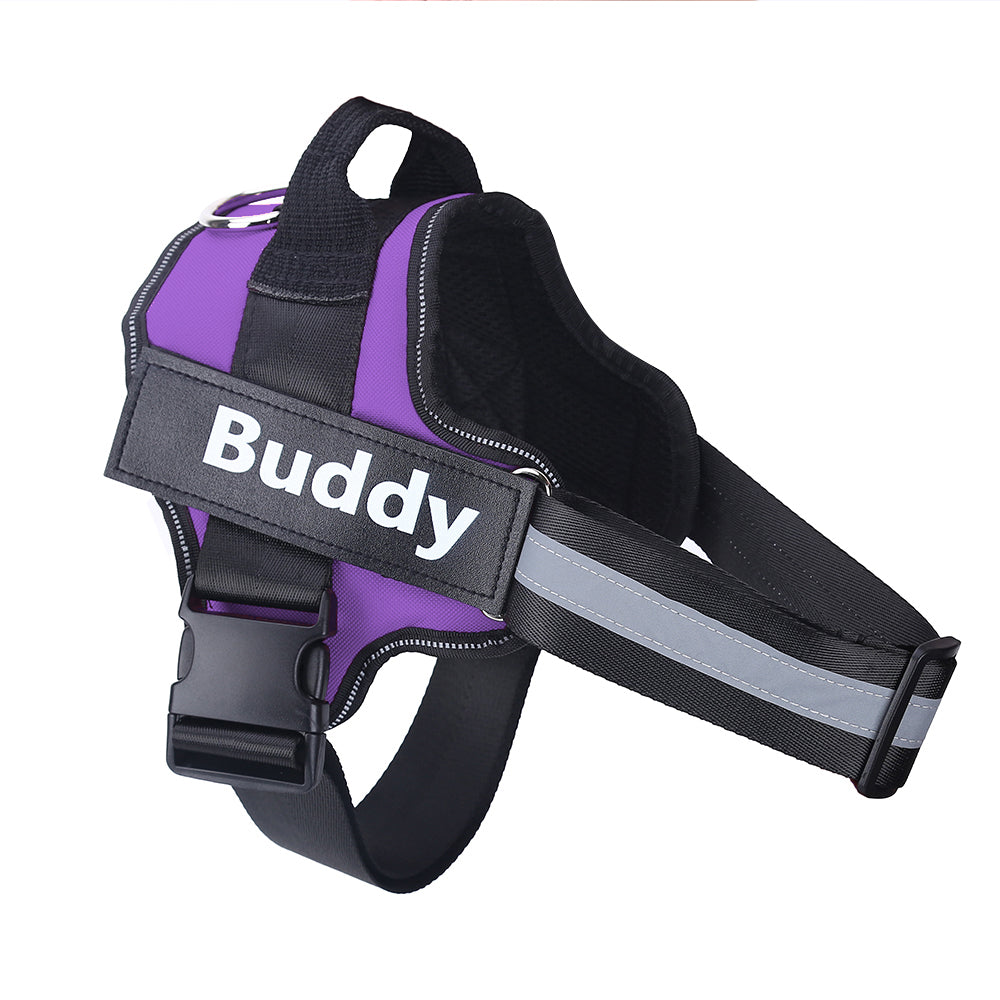 Personalized, Heavy-Duty, Adjustable Pet Harness