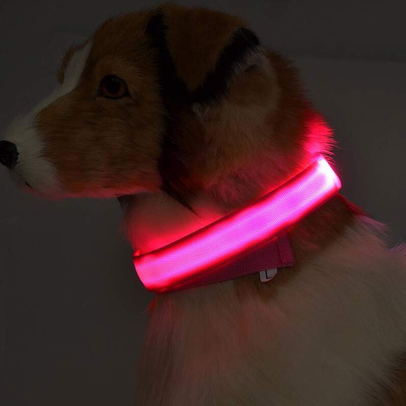 Luminous Pet Collar: Glow-in-the-Dark Dog & Cat Leash