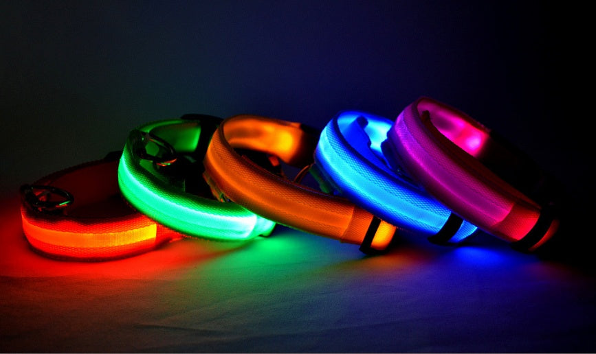 Luminous Pet Collar: Glow-in-the-Dark Dog & Cat Leash