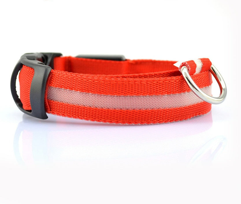 Luminous Pet Collar: Glow-in-the-Dark Dog & Cat Leash