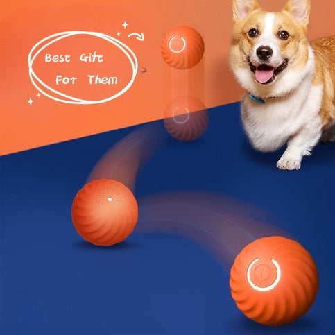 Rubber Dog Ball Toy: Bite-Resistant & Durable — Dog Training Supplies