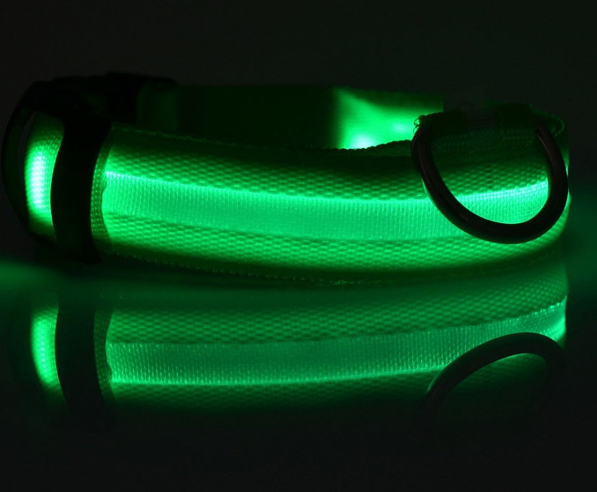 Luminous Pet Collar: Glow-in-the-Dark Dog & Cat Leash