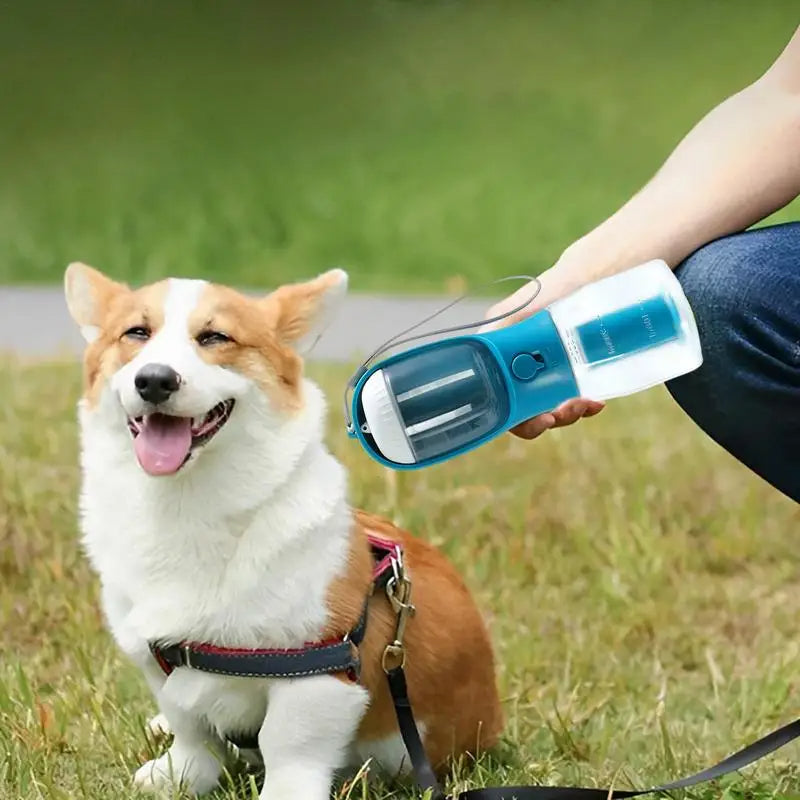 Portable 3-in-1 Pet Outdoor Travel Dog Water Bottle