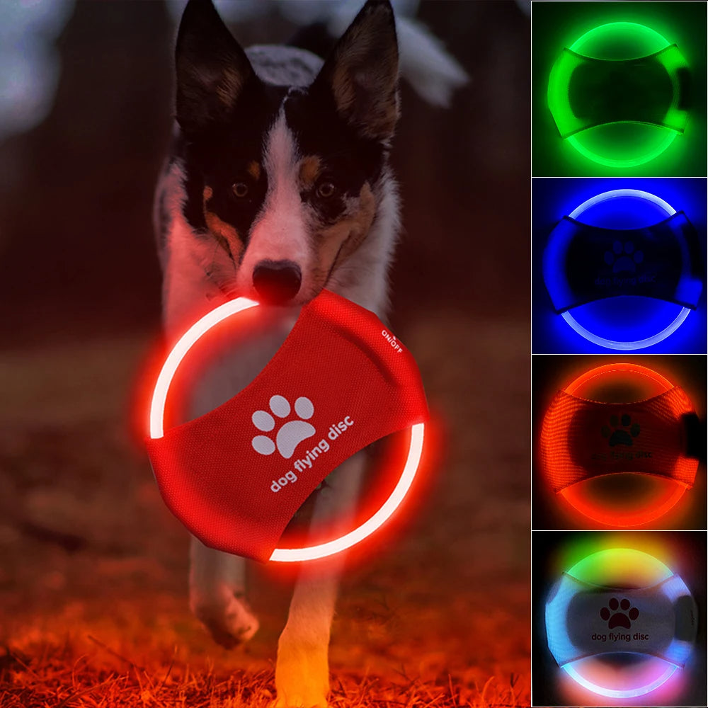 Glowing Dog Frisbee: LED Luminous Interactive Training Toy