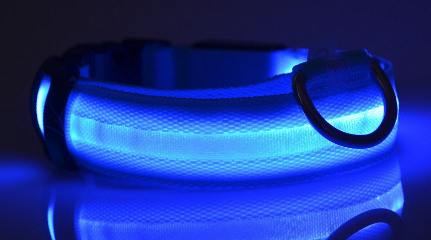 Luminous Pet Collar: Glow-in-the-Dark Dog & Cat Leash