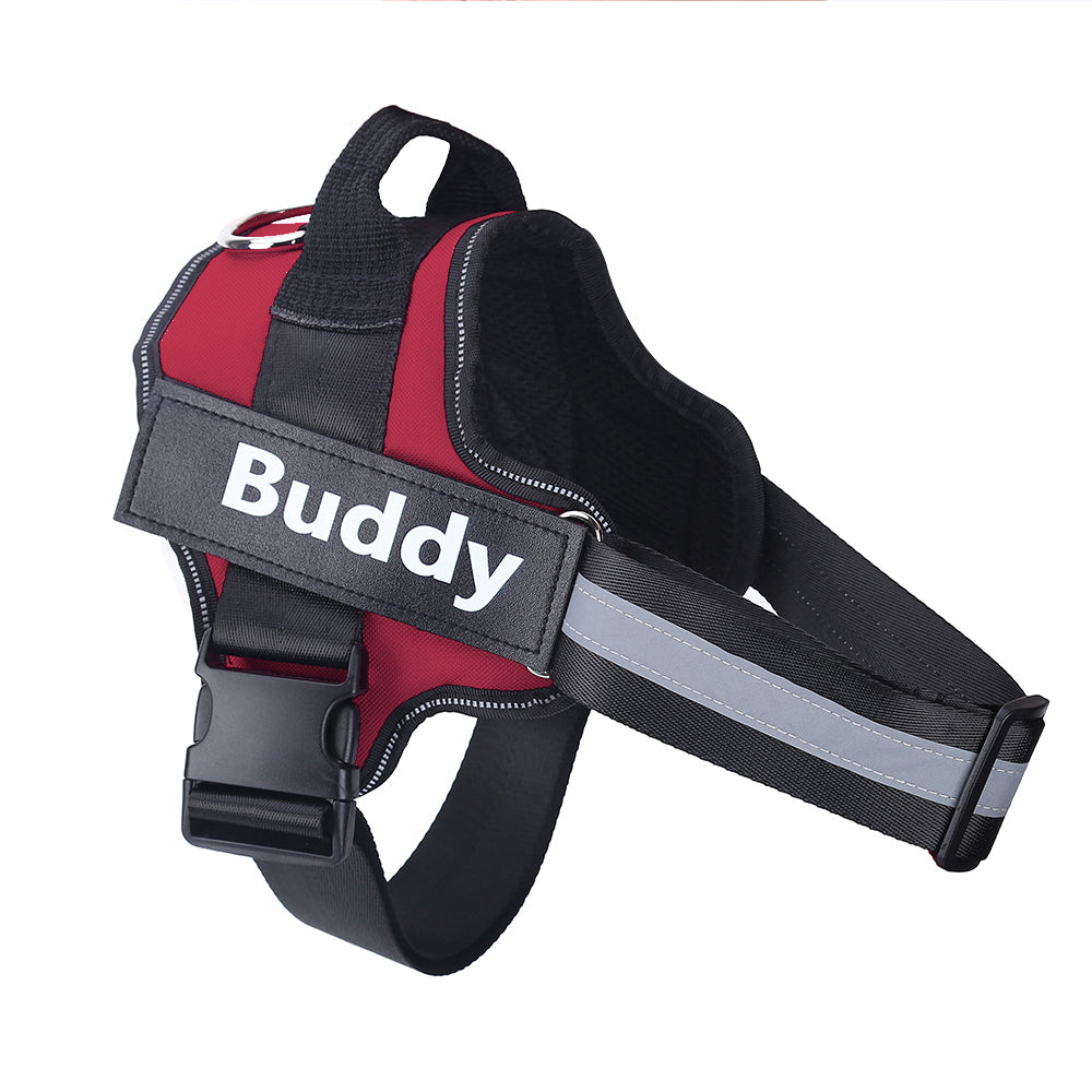 Personalized, Heavy-Duty, Adjustable Pet Harness