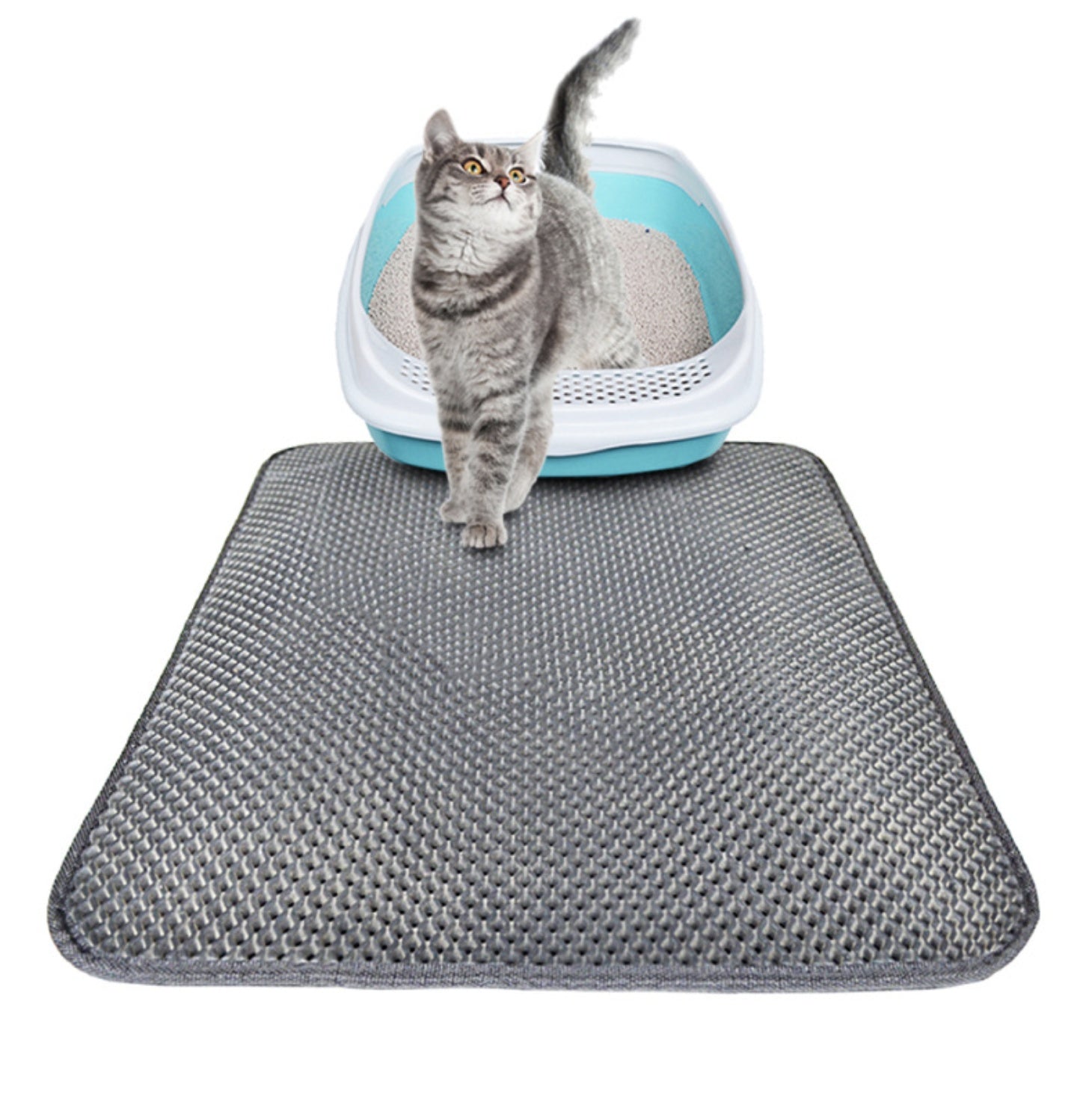 Double-Layer Anti-Tracking Cat Litter Mat — Pet Supplies