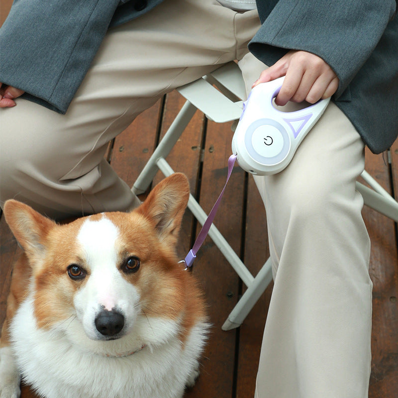 Retractable Pet Leash and Collar Set with Built-in Light