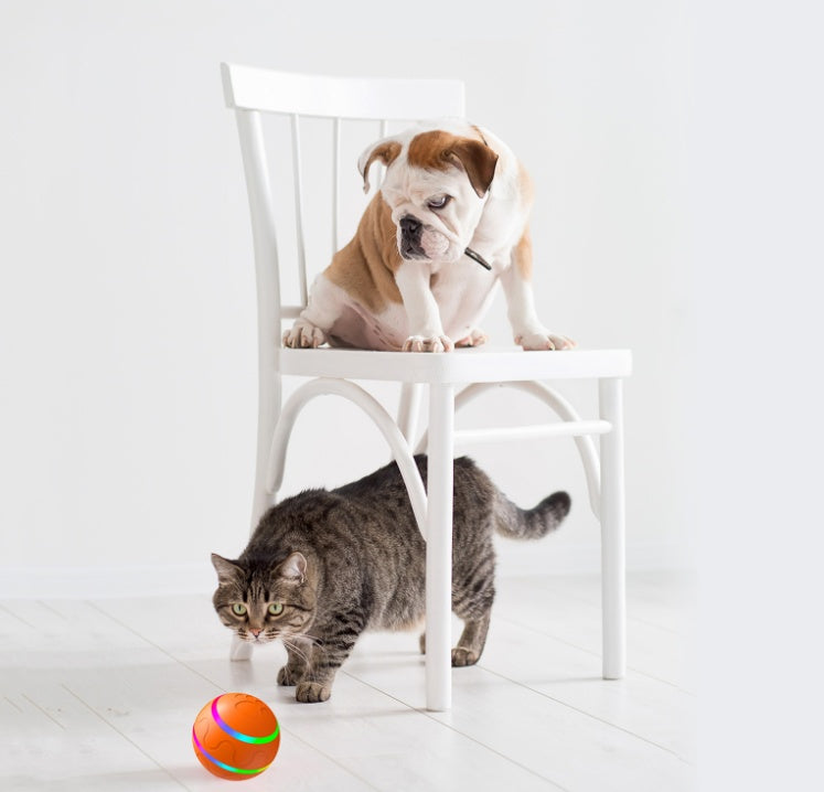 New Pet Product: USB-Rechargeable Cat Teaser Ball