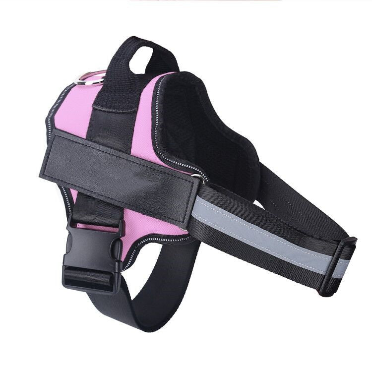 Personalized, Heavy-Duty, Adjustable Pet Harness