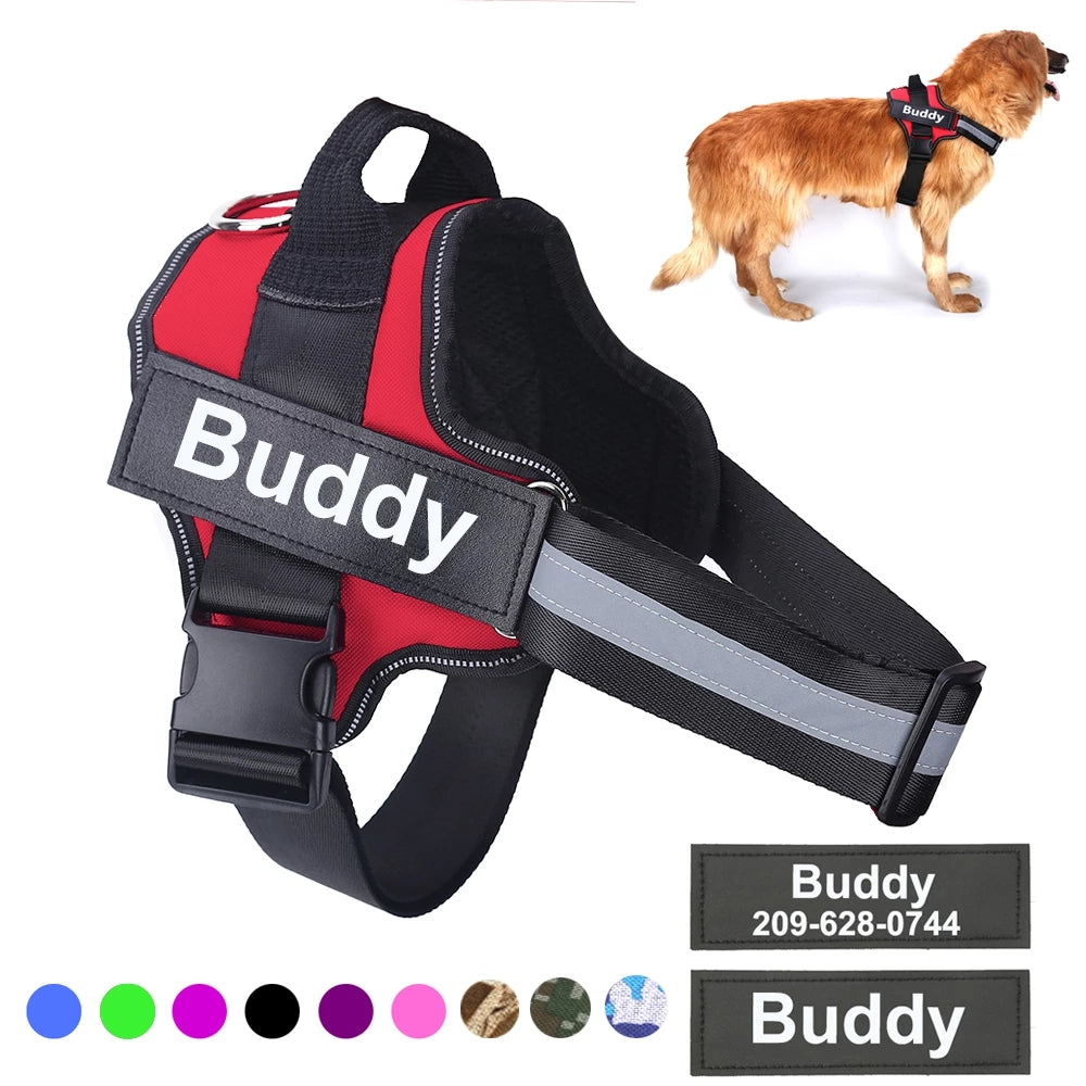 Personalized, Heavy-Duty, Adjustable Pet Harness