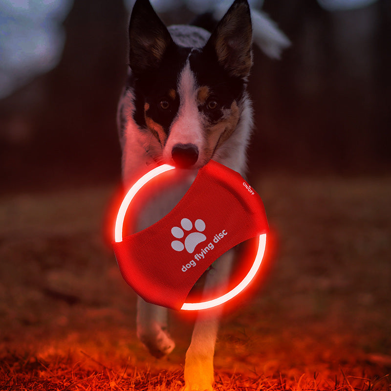 Glowing Dog Frisbee: LED Luminous Interactive Training Toy