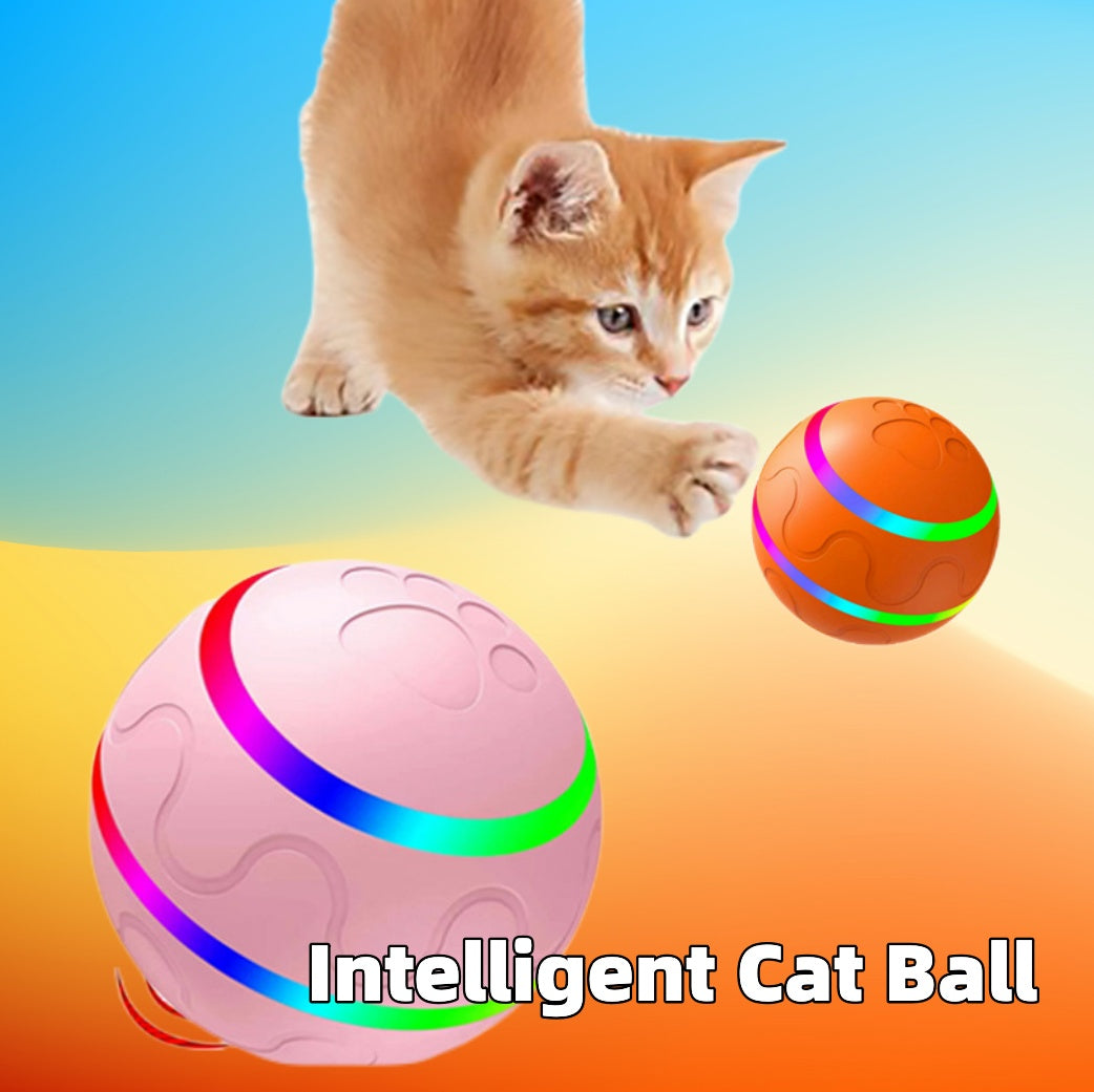 New Pet Product: USB-Rechargeable Cat Teaser Ball